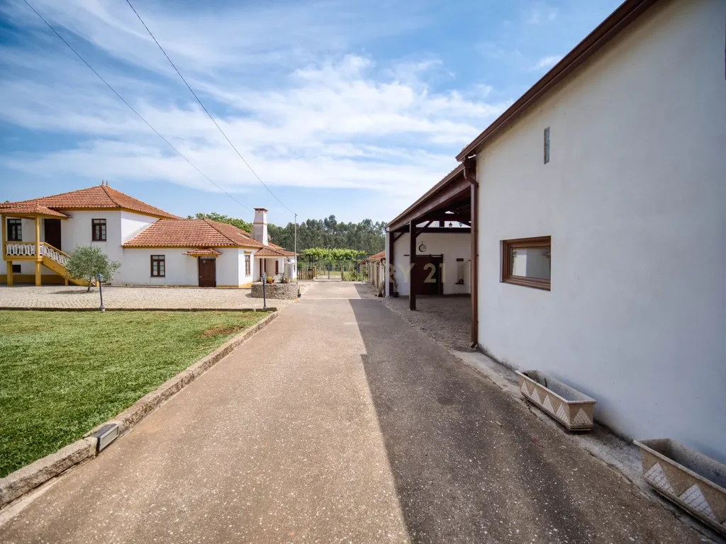 Quinta com 2 hectares em Ovar, Aveiro, a 40 min do Porto - Image 14
