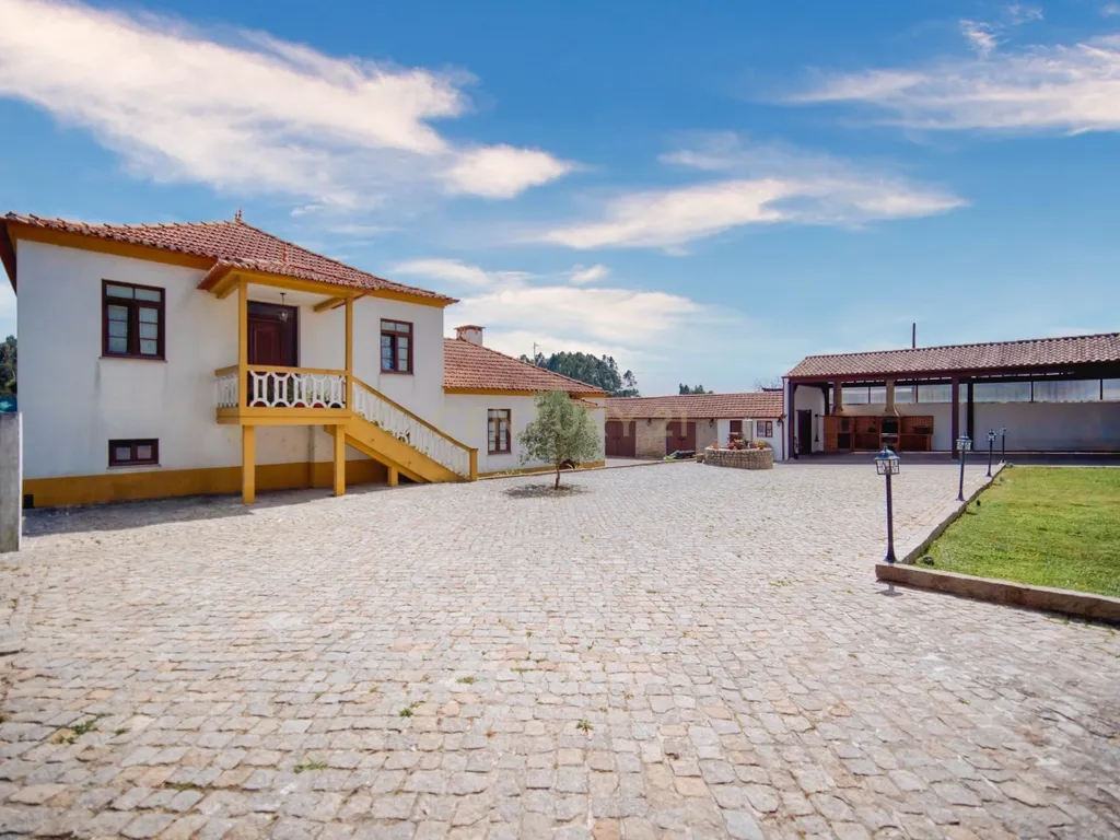 Quinta com 2 hectares em Ovar, Aveiro, a 40 min do Porto - Image 13