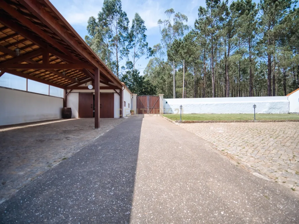 Quinta com 2 hectares em Ovar, Aveiro, a 40 min do Porto - Image 18