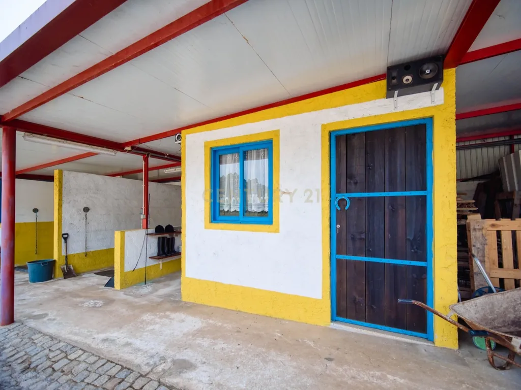 Quinta com 2 hectares em Ovar, Aveiro, a 40 min do Porto - Image 27