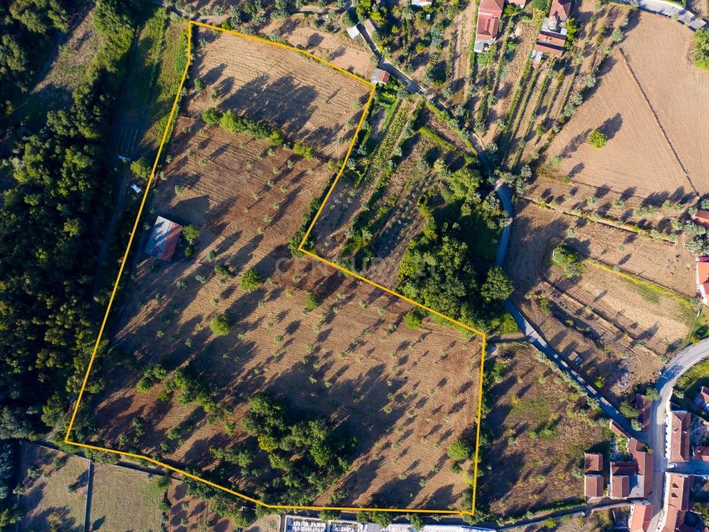 Quinta da Mata, quinta com poço em local de grande tranquilidade -Arrifana, Vila Nova de Poiares - Image 11