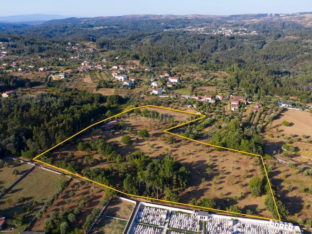 Quinta da Mata, quinta com poço em local de grande tranquilidade -Arrifana, Vila Nova de Poiares - Image 7