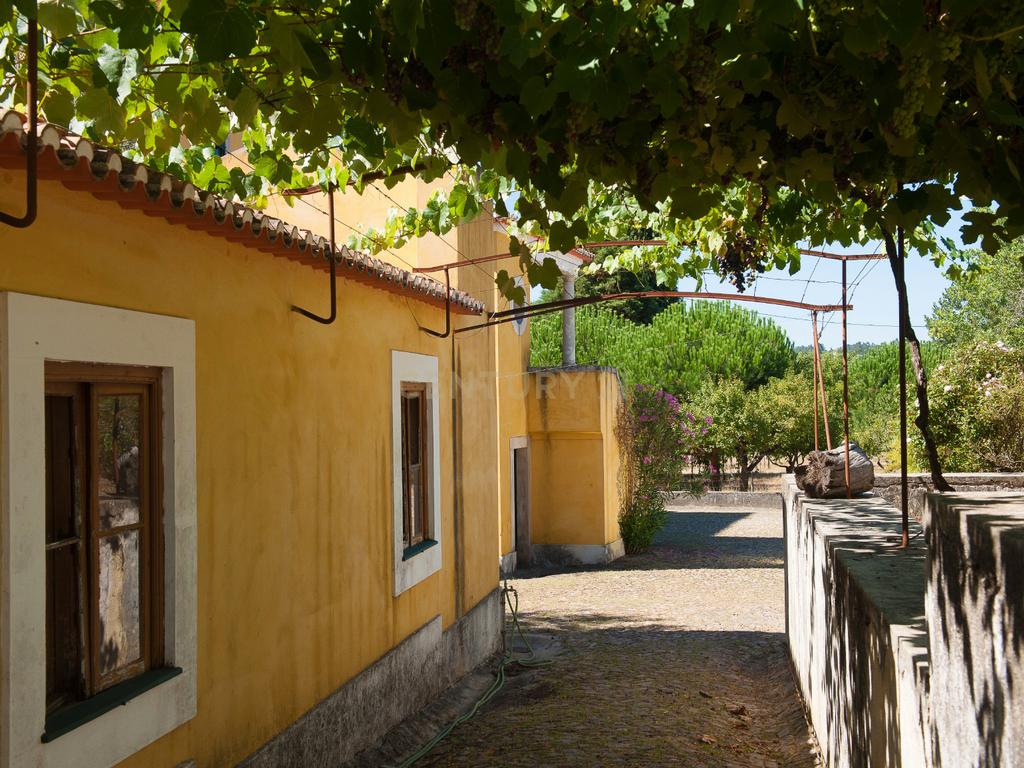 Quinta com palacete ,1168m2 de construção e terreno urbano de 1,7 ha. perto do centro de Vila Nova de Poiares - Image 14