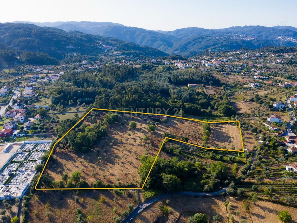 Quinta da Mata, quinta com poço em local de grande tranquilidade -Arrifana, Vila Nova de Poiares - Image 9