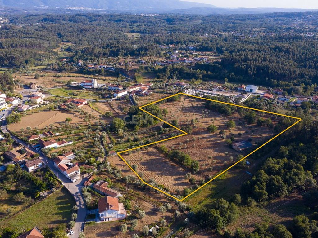 Quinta da Mata, quinta com poço em local de grande tranquilidade -Arrifana, Vila Nova de Poiares - Image 10