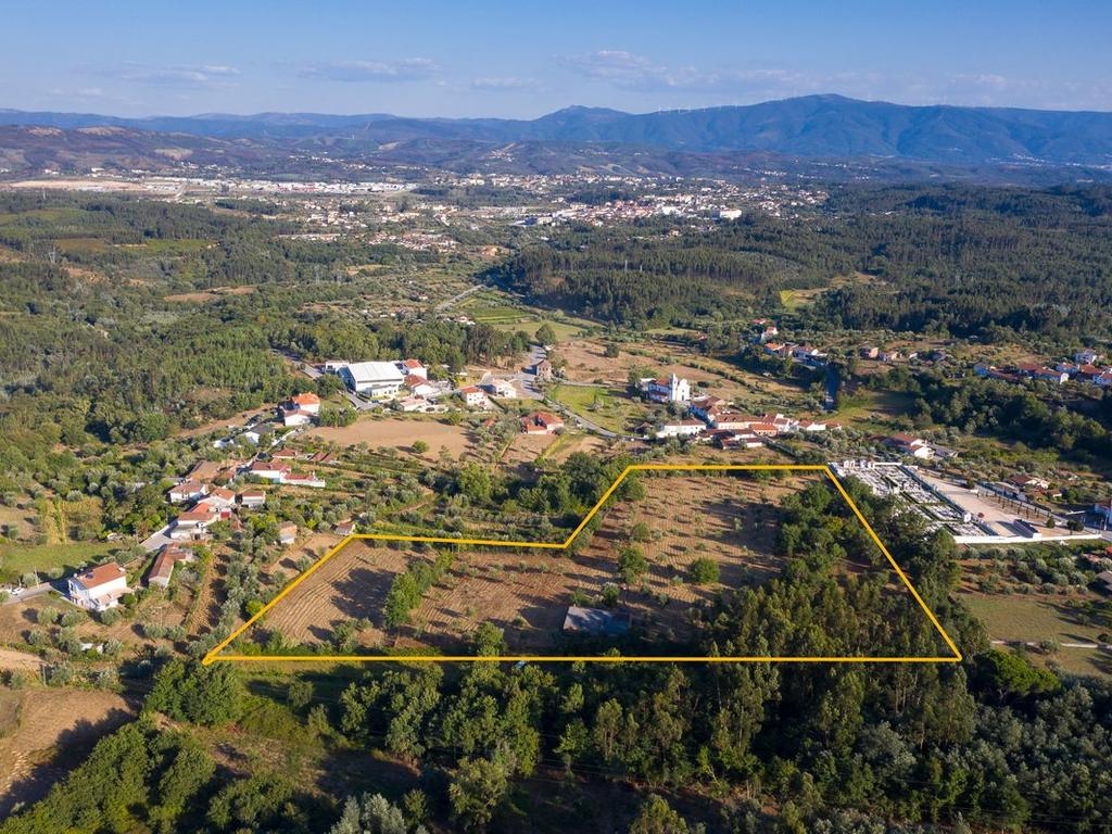 Quinta da Mata, quinta com poço em local de grande tranquilidade -Arrifana, Vila Nova de Poiares - Image 12