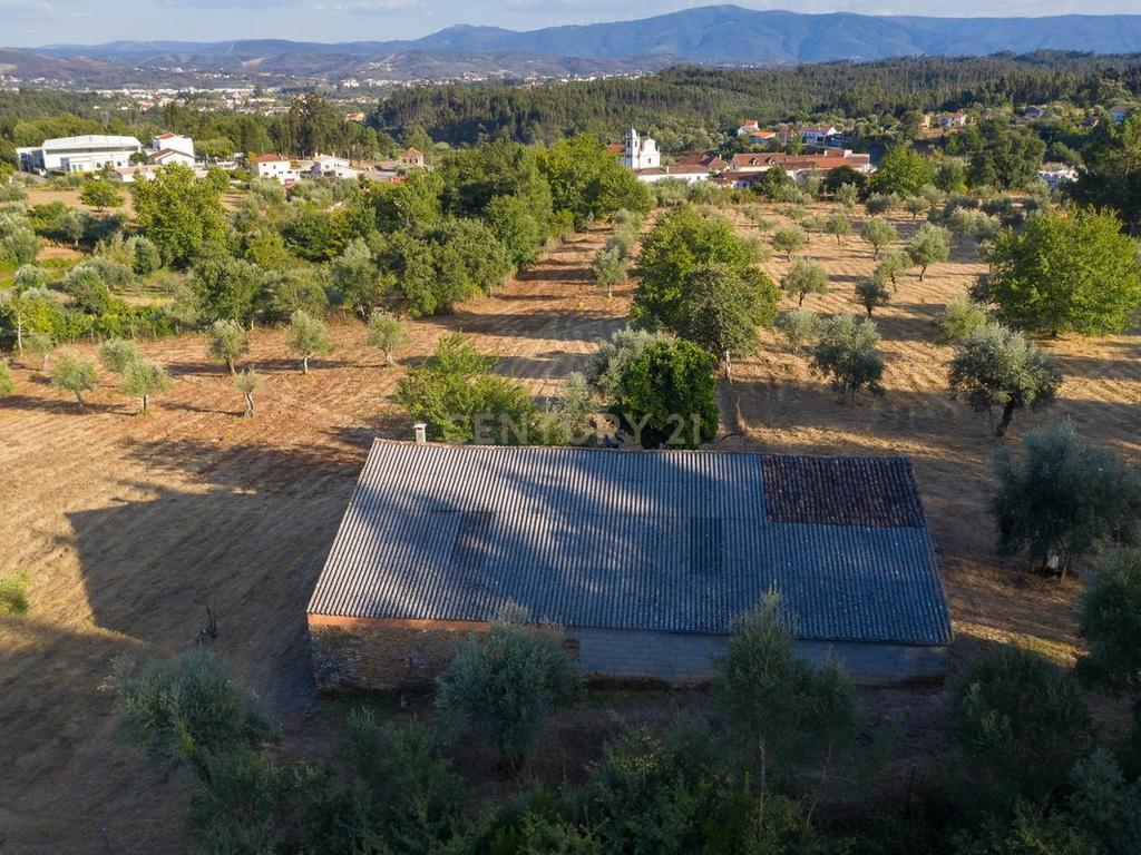 Quinta da Mata, quinta com poço em local de grande tranquilidade -Arrifana, Vila Nova de Poiares - Image 1