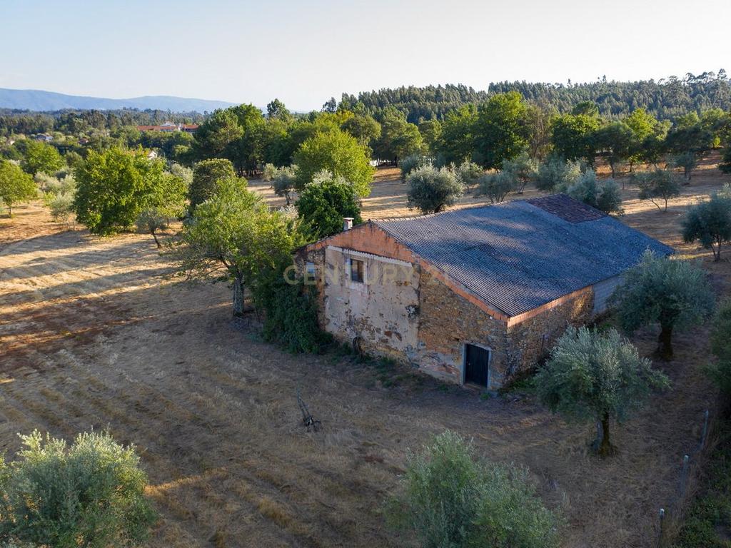 Quinta da Mata, quinta com poço em local de grande tranquilidade -Arrifana, Vila Nova de Poiares - Image 3