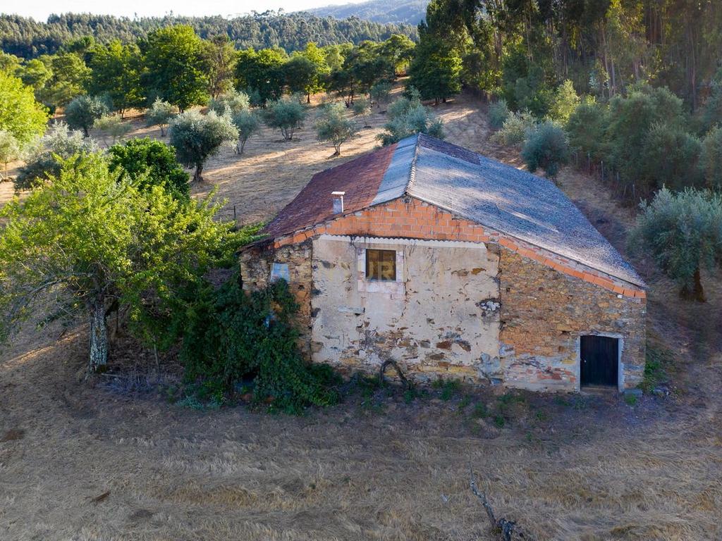 Quinta da Mata, quinta com poço em local de grande tranquilidade -Arrifana, Vila Nova de Poiares - Image 15