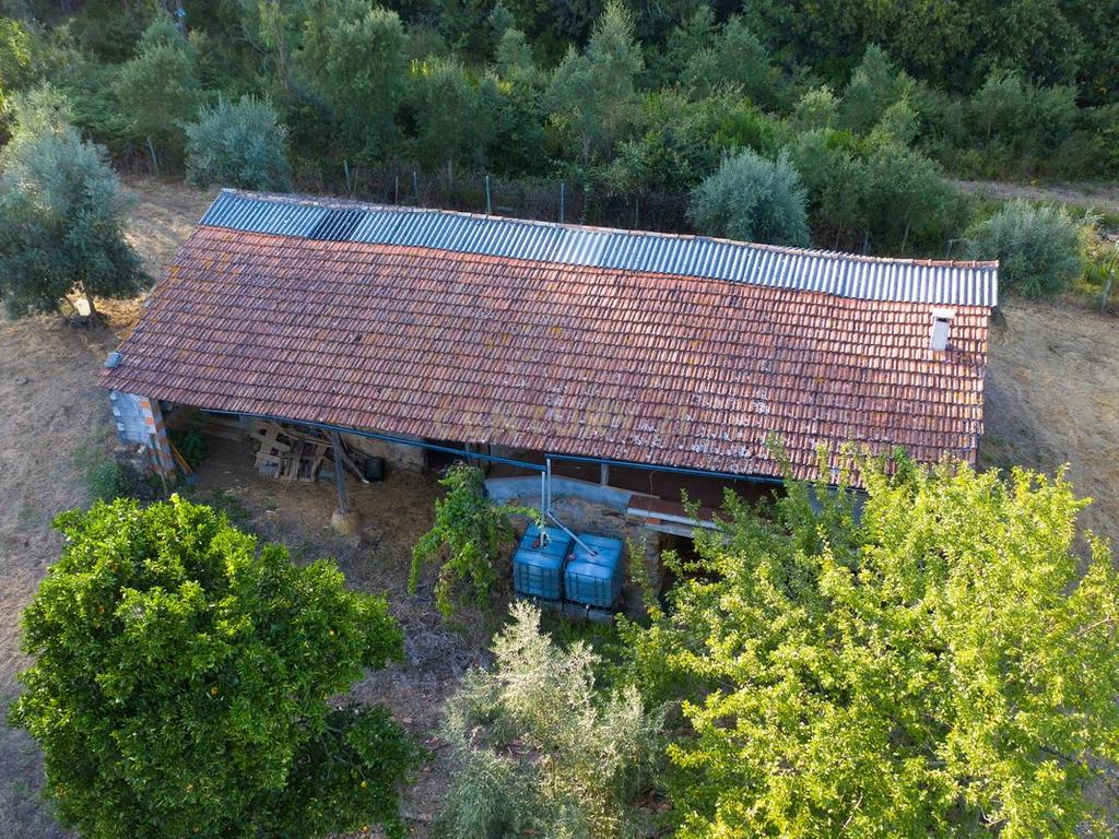 Quinta da Mata, quinta com poço em local de grande tranquilidade -Arrifana, Vila Nova de Poiares - Image 14