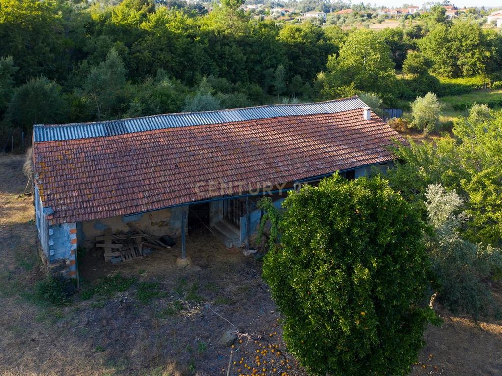 Quinta da Mata, quinta com poço em local de grande tranquilidade -Arrifana, Vila Nova de Poiares - Image 13