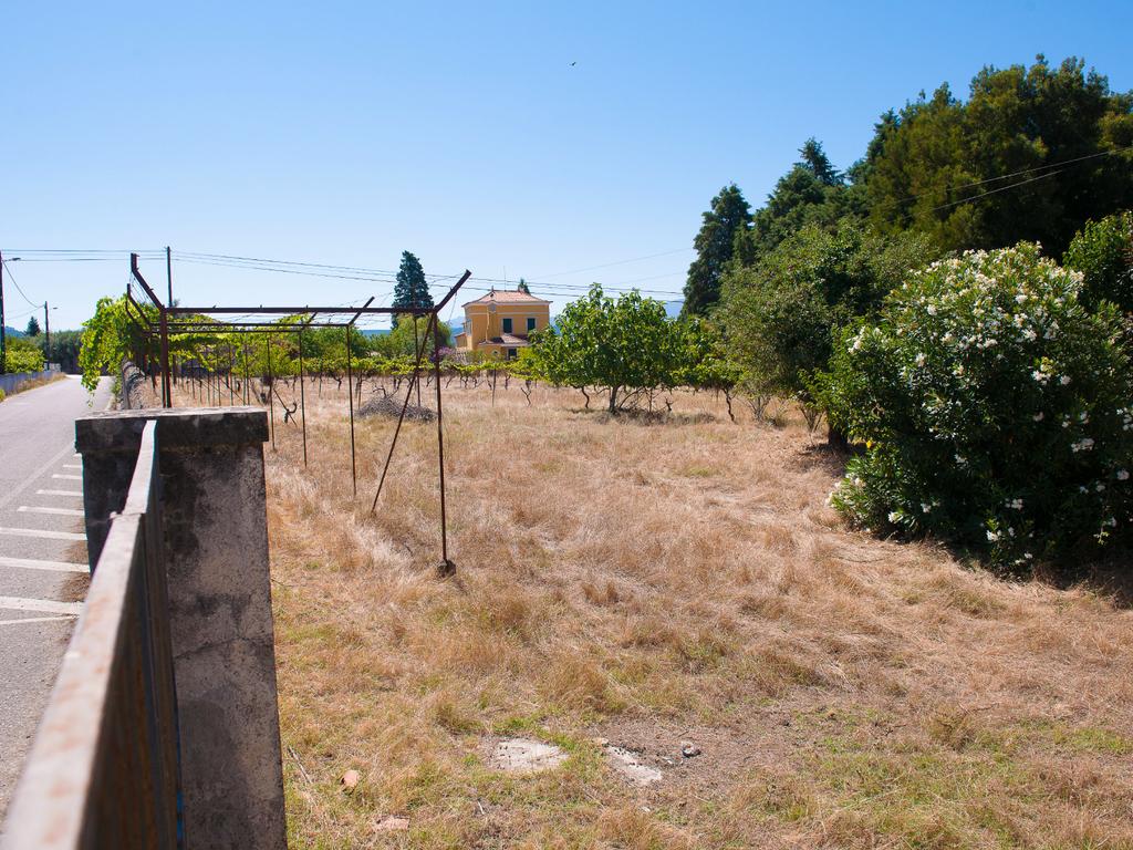 Quinta com palacete ,1168m2 de construção e terreno urbano de 1,7 ha. perto do centro de Vila Nova de Poiares - Image 31