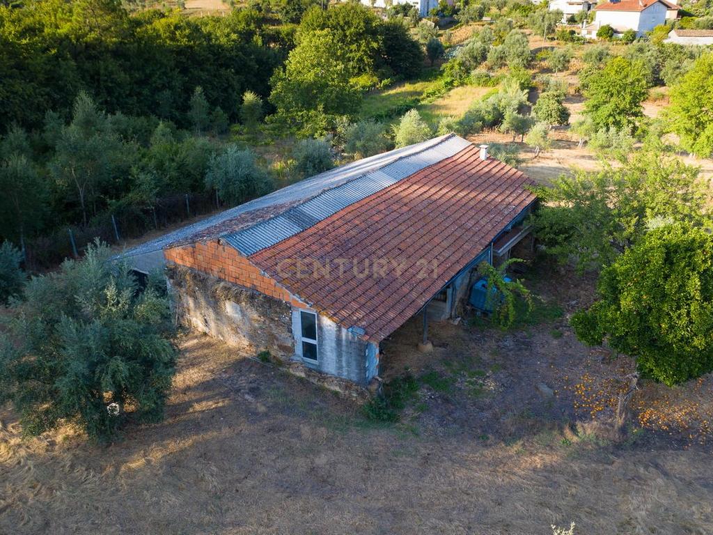 Quinta da Mata, quinta com poço em local de grande tranquilidade -Arrifana, Vila Nova de Poiares - Image 2