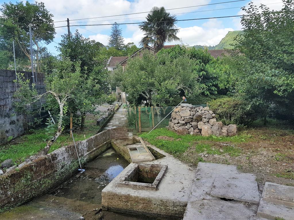 Propriedades únicas no encantador Vale da Furnas - Melhor destino turístico dos Açores - Image 1