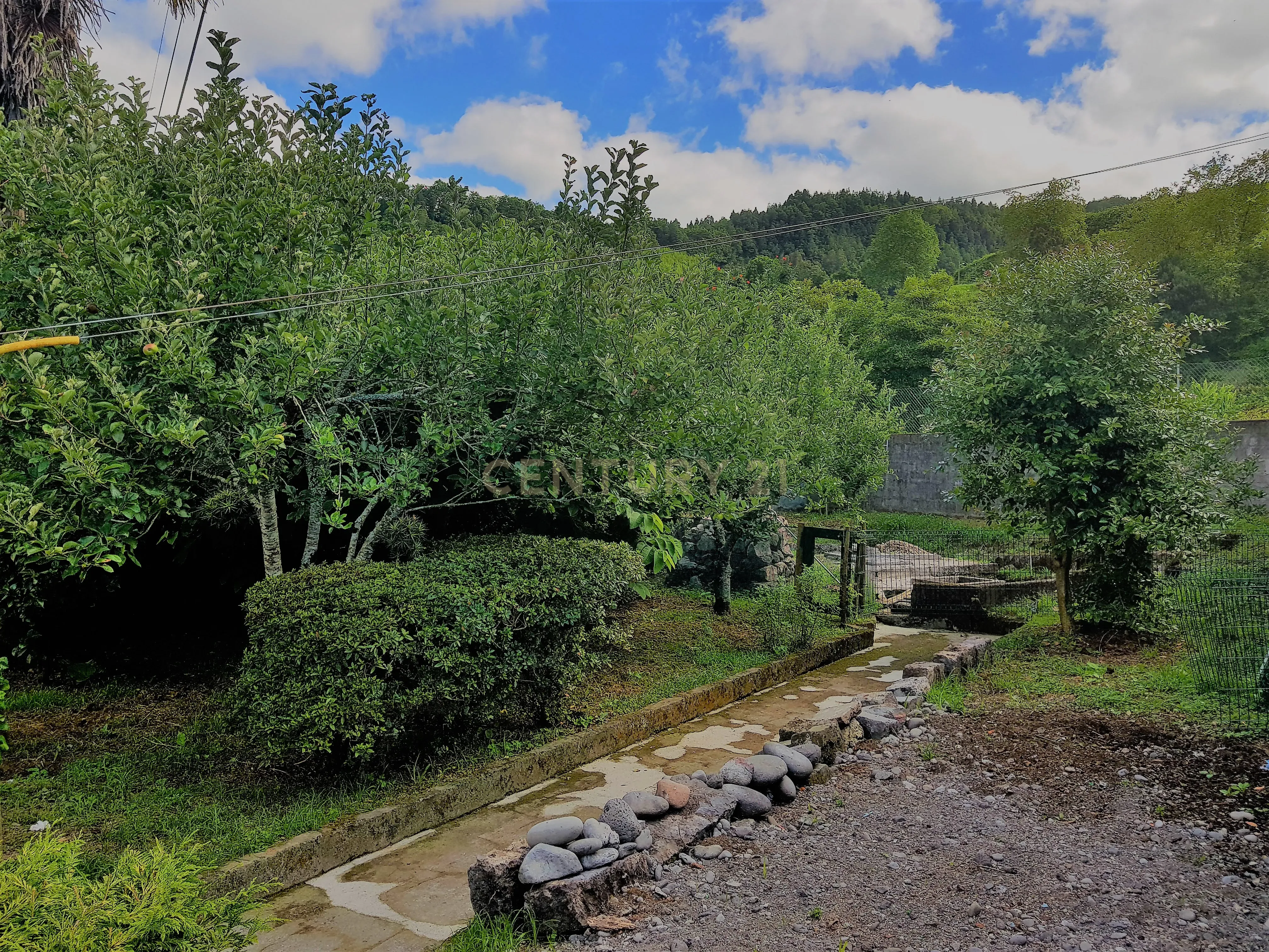 Propriedades únicas no encantador Vale da Furnas - Melhor destino turístico dos Açores - Image 4