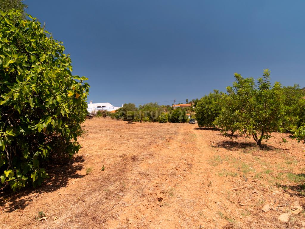 Casa de Campo comm Terreno - Pé de Coelho - Image 23