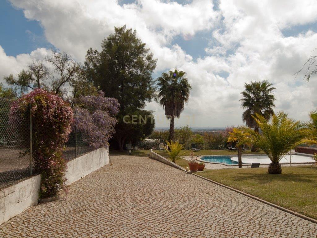Quinta no Cartaxo - Image 9