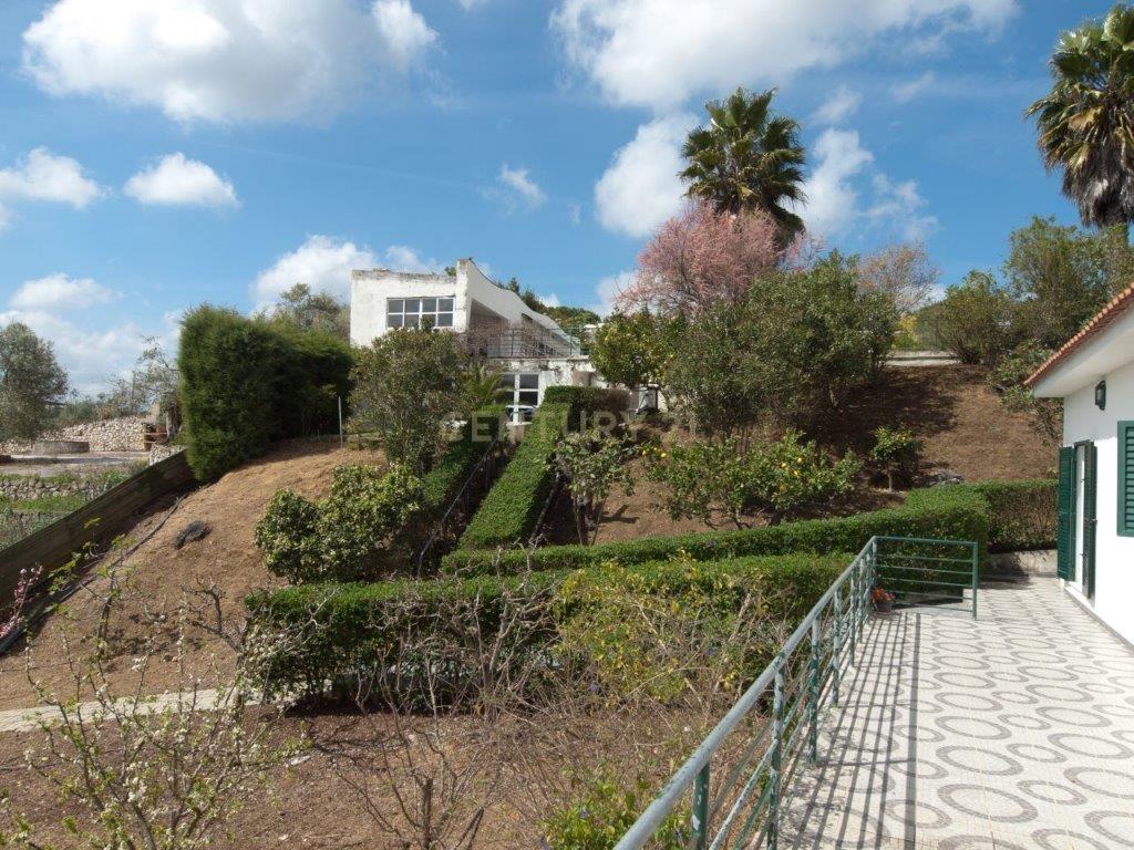 Quinta no Cartaxo - Image 3