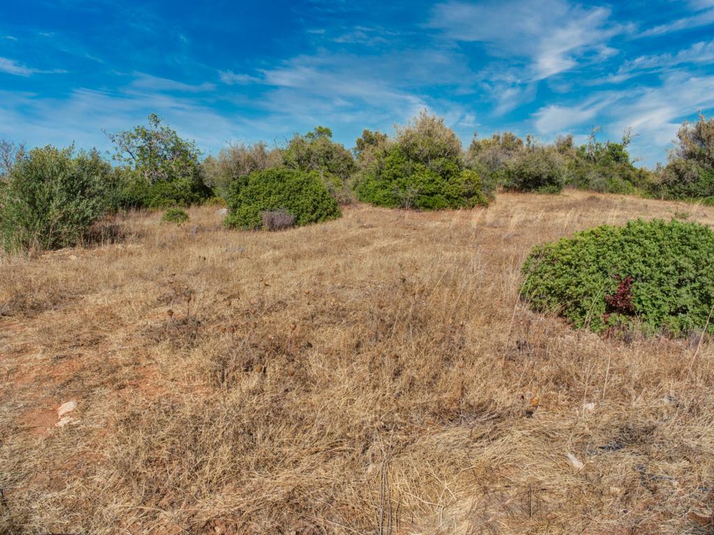 Terreno com 3,68Ha pronto para loteamento e construção de 24 moradias isoladas na Mexilhoeira Grande - Portimão - Image 13