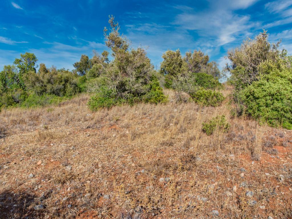 Terreno com 3,68Ha pronto para loteamento e construção de 24 moradias isoladas na Mexilhoeira Grande - Portimão - Image 16