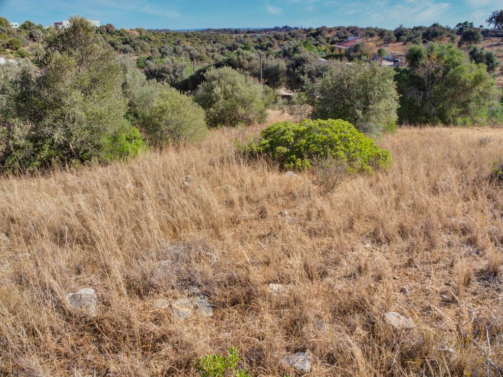 Terreno com 3,68Ha pronto para loteamento e construção de 24 moradias isoladas na Mexilhoeira Grande - Portimão - Image 6