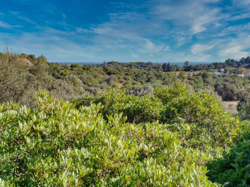 Terreno com 3,68Ha pronto para loteamento e construção de 24 moradias isoladas na Mexilhoeira Grande - Portimão - Image 22