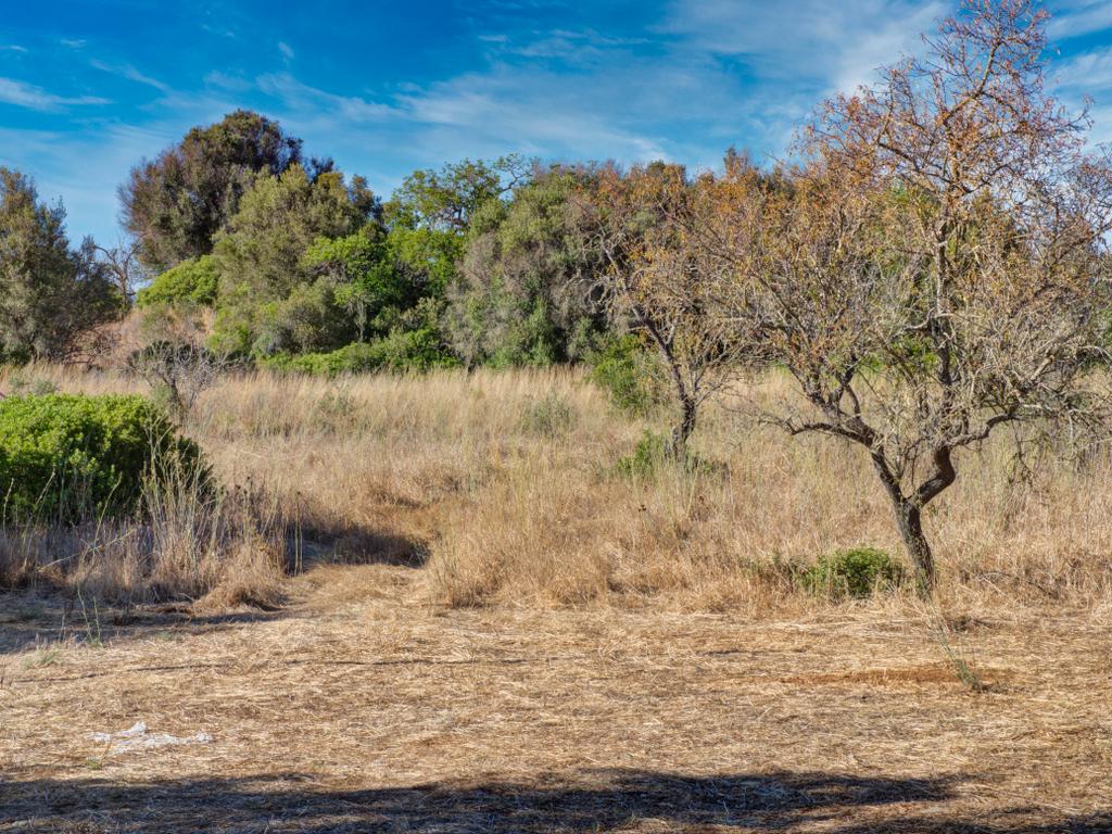 Terreno com 3,68Ha pronto para loteamento e construção de 24 moradias isoladas na Mexilhoeira Grande - Portimão - Image 30