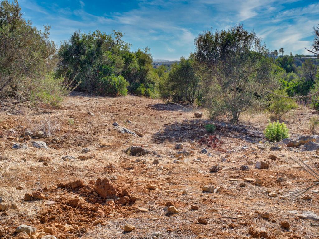 Terreno com 3,68Ha pronto para loteamento e construção de 24 moradias isoladas na Mexilhoeira Grande - Portimão - Image 24