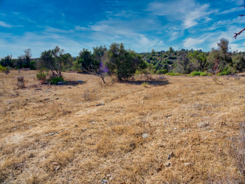 Terreno com 3,68Ha pronto para loteamento e construção de 24 moradias isoladas na Mexilhoeira Grande - Portimão - Image 9