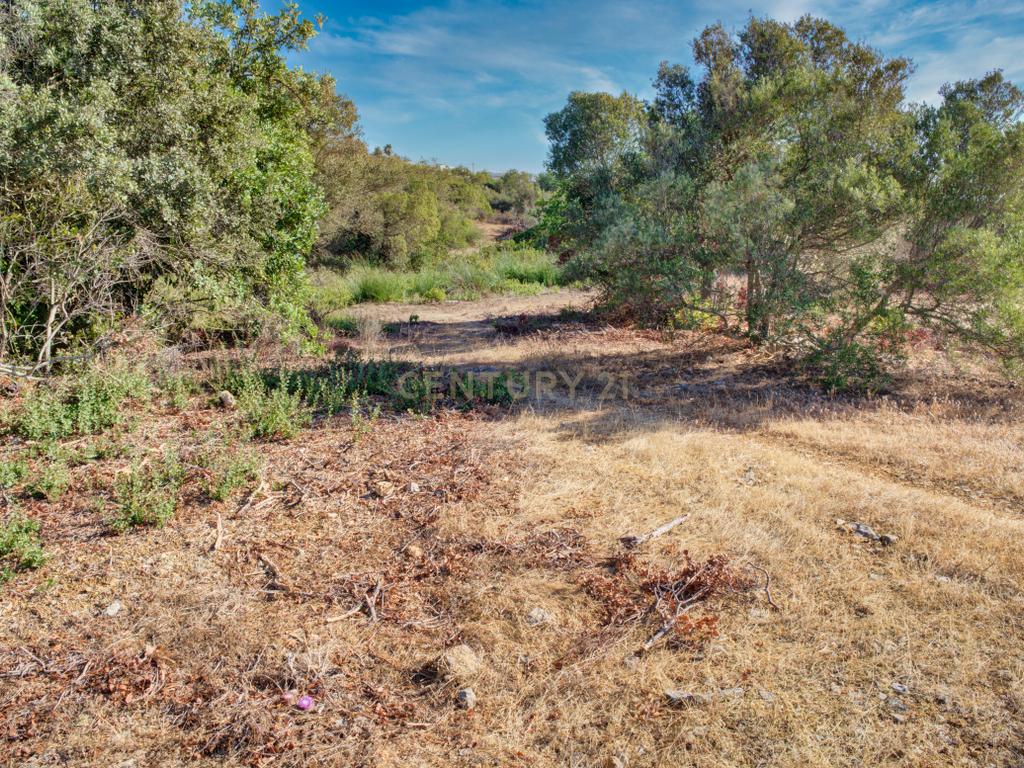 Terreno com 3,68Ha pronto para loteamento e construção de 24 moradias isoladas na Mexilhoeira Grande - Portimão - Image 38