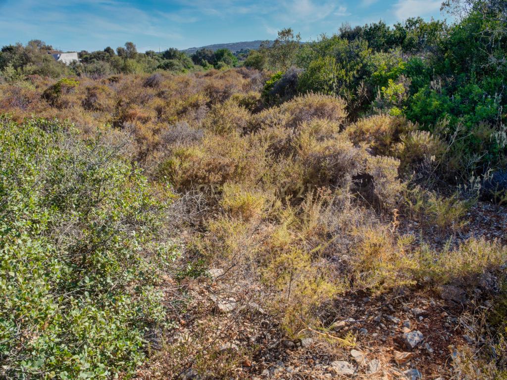 Terreno com 3,68Ha pronto para loteamento e construção de 24 moradias isoladas na Mexilhoeira Grande - Portimão - Image 42