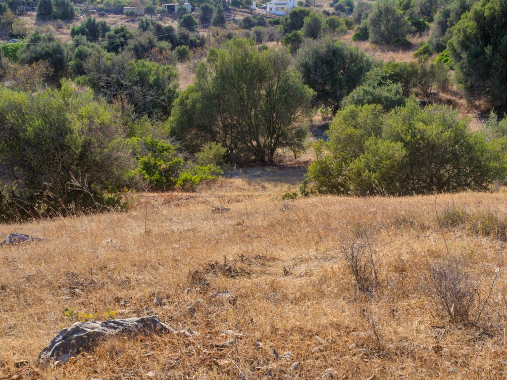 Terreno com 3,68Ha pronto para loteamento e construção de 24 moradias isoladas na Mexilhoeira Grande - Portimão - Image 32