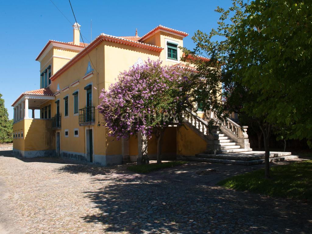 Quinta com palacete ,1168m2 de construção e terreno urbano de 1,7 ha. perto do centro de Vila Nova de Poiares - Image 5