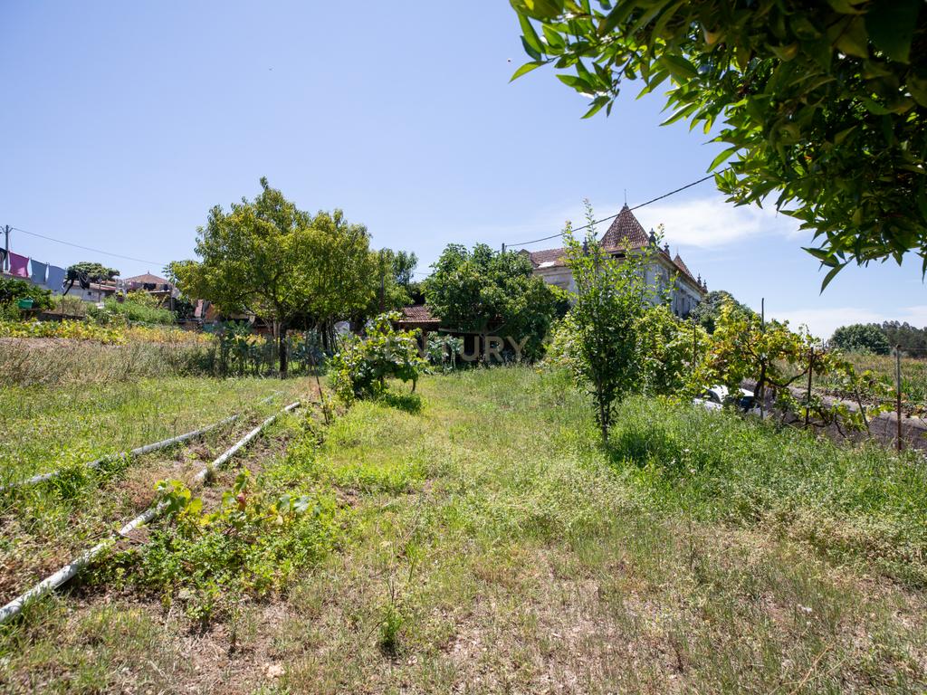 Moradia  com terreno na Corujeira (Ribeira de Frades) - Coimbra - Image 16