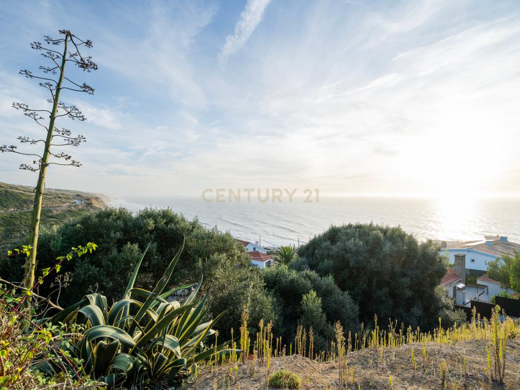 Se sempre sonhou viver em cima da praia, este é o seu futuro lar! - Image 36