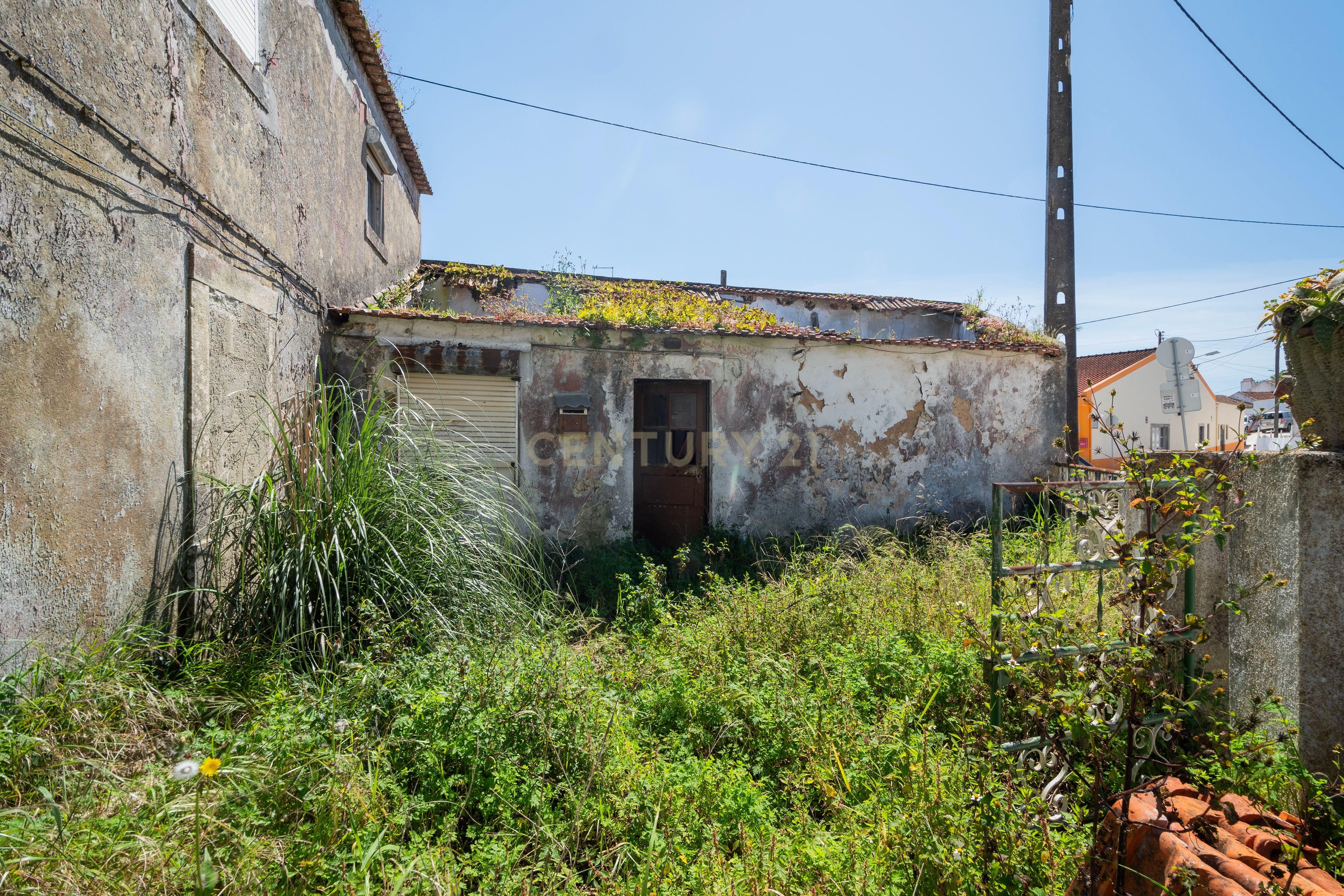Quinta para Reabilitação e Construção - Paiões - Sintra - Image 3