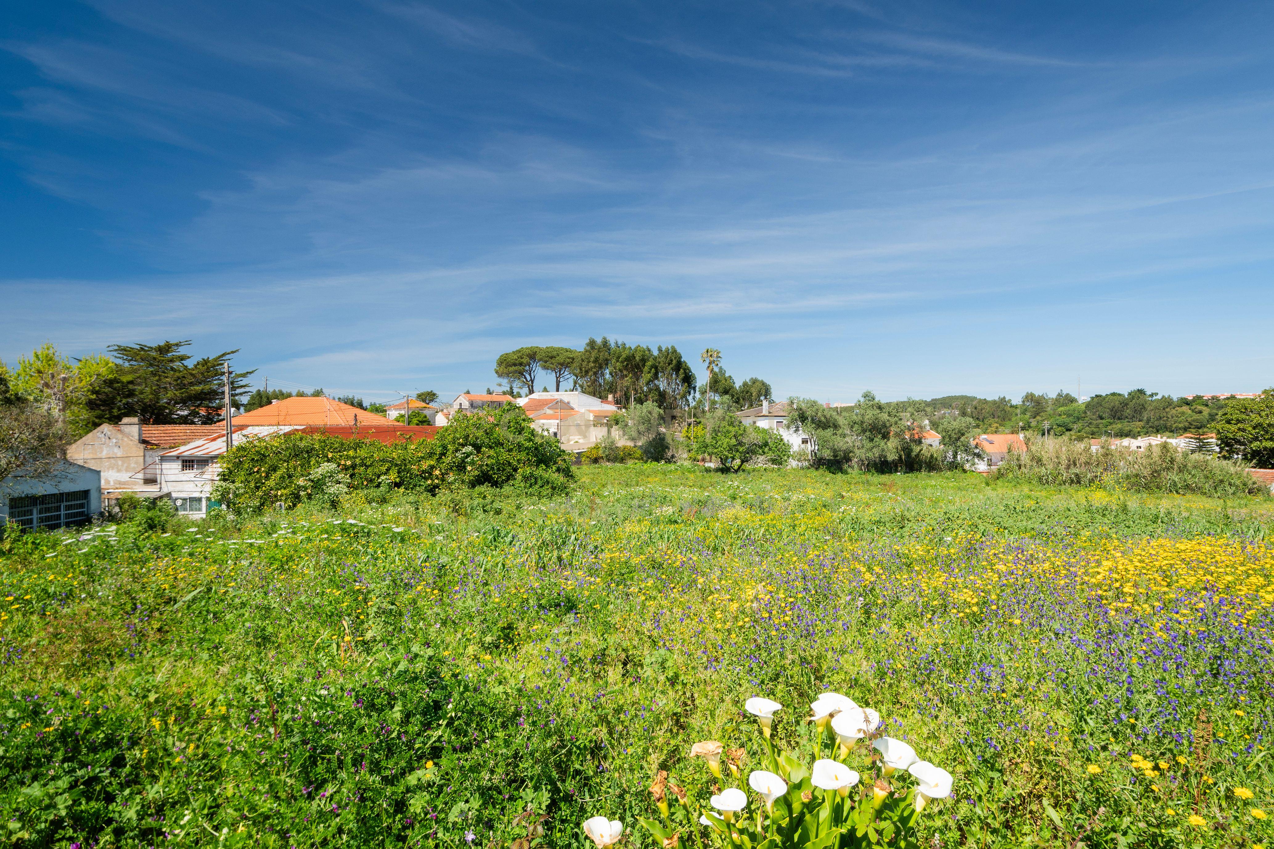 Quinta para Reabilitação e Construção - Paiões - Sintra - Image 12