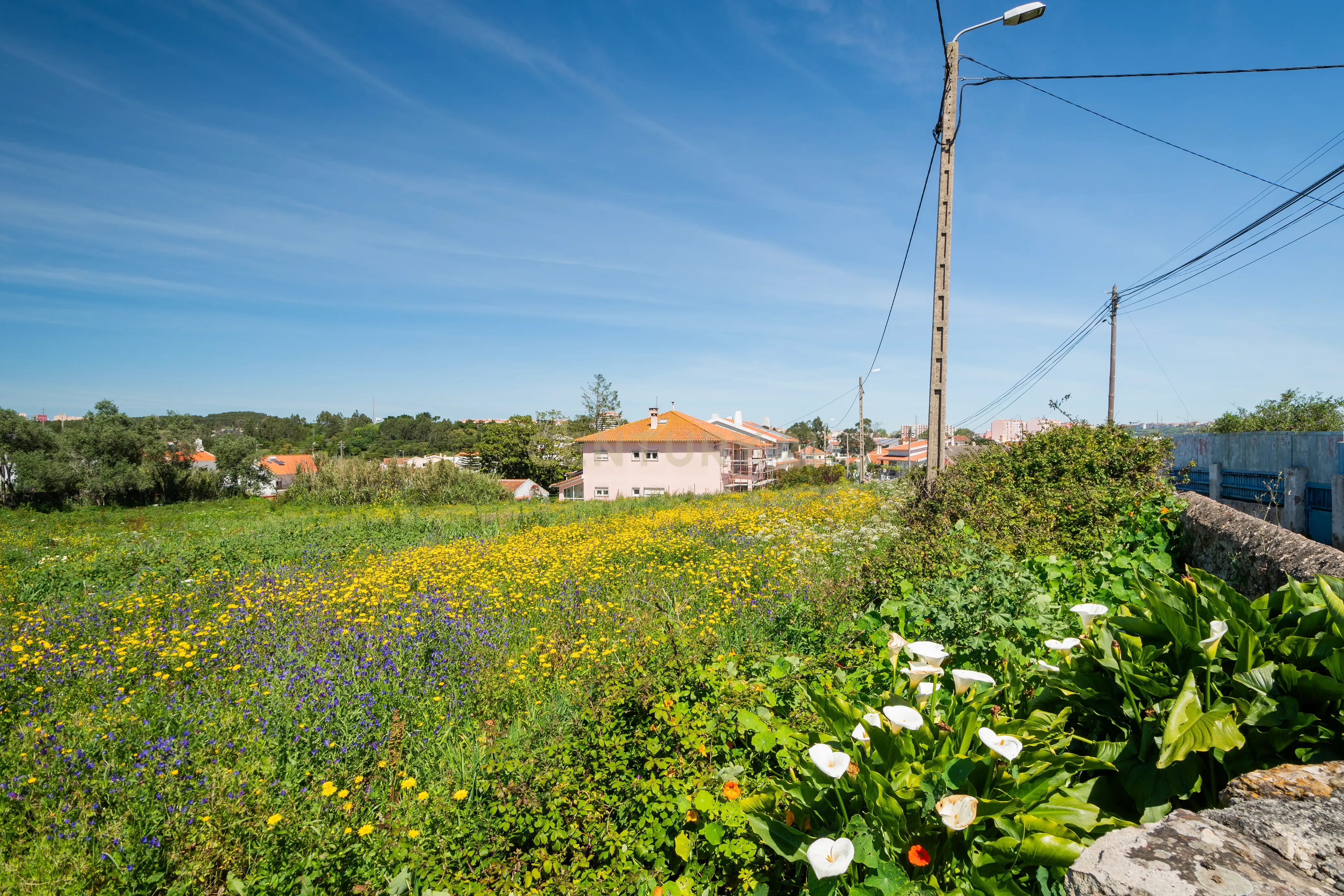 Quinta para Reabilitação e Construção - Paiões - Sintra - Image 10