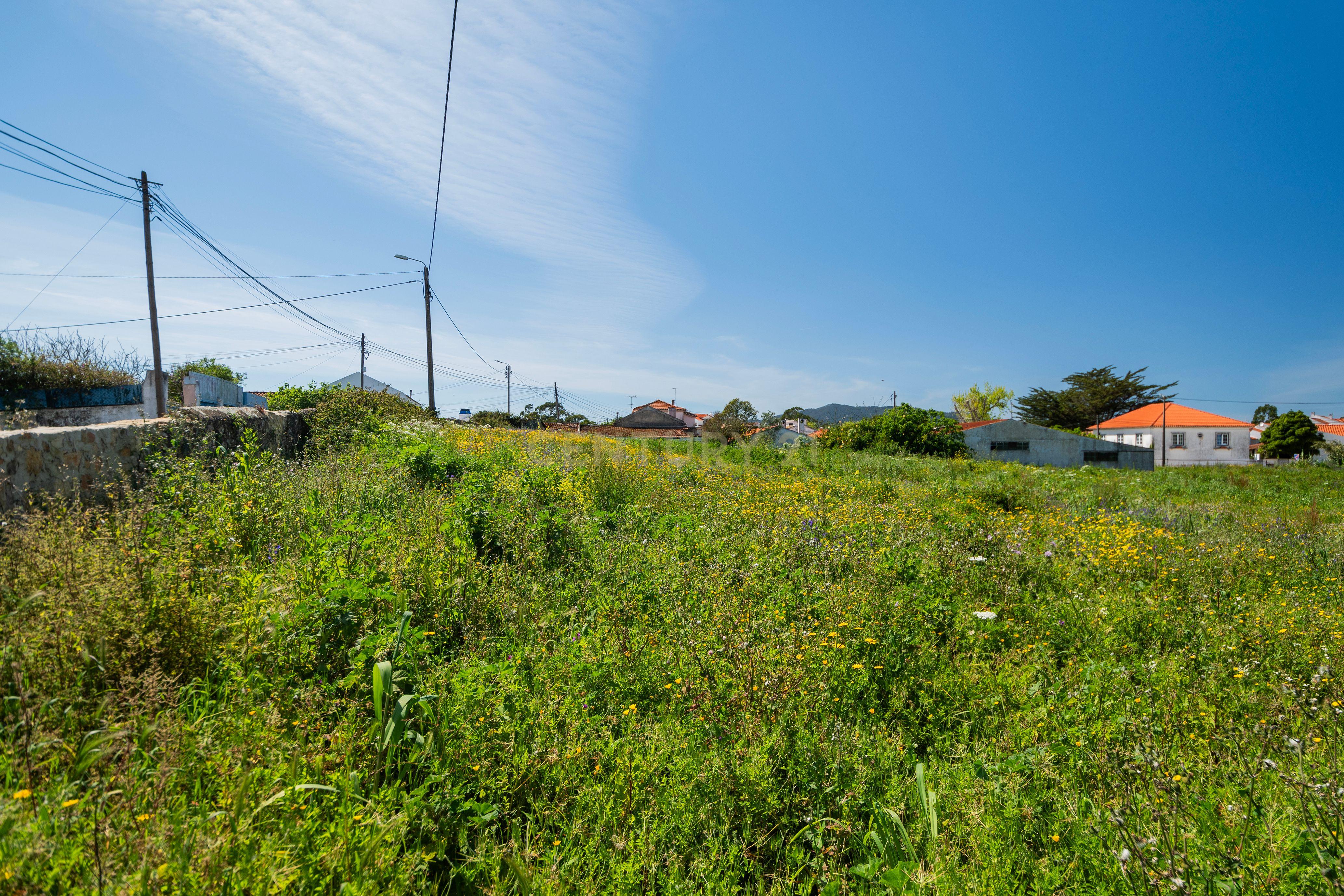 Quinta para Reabilitação e Construção - Paiões - Sintra - Image 11