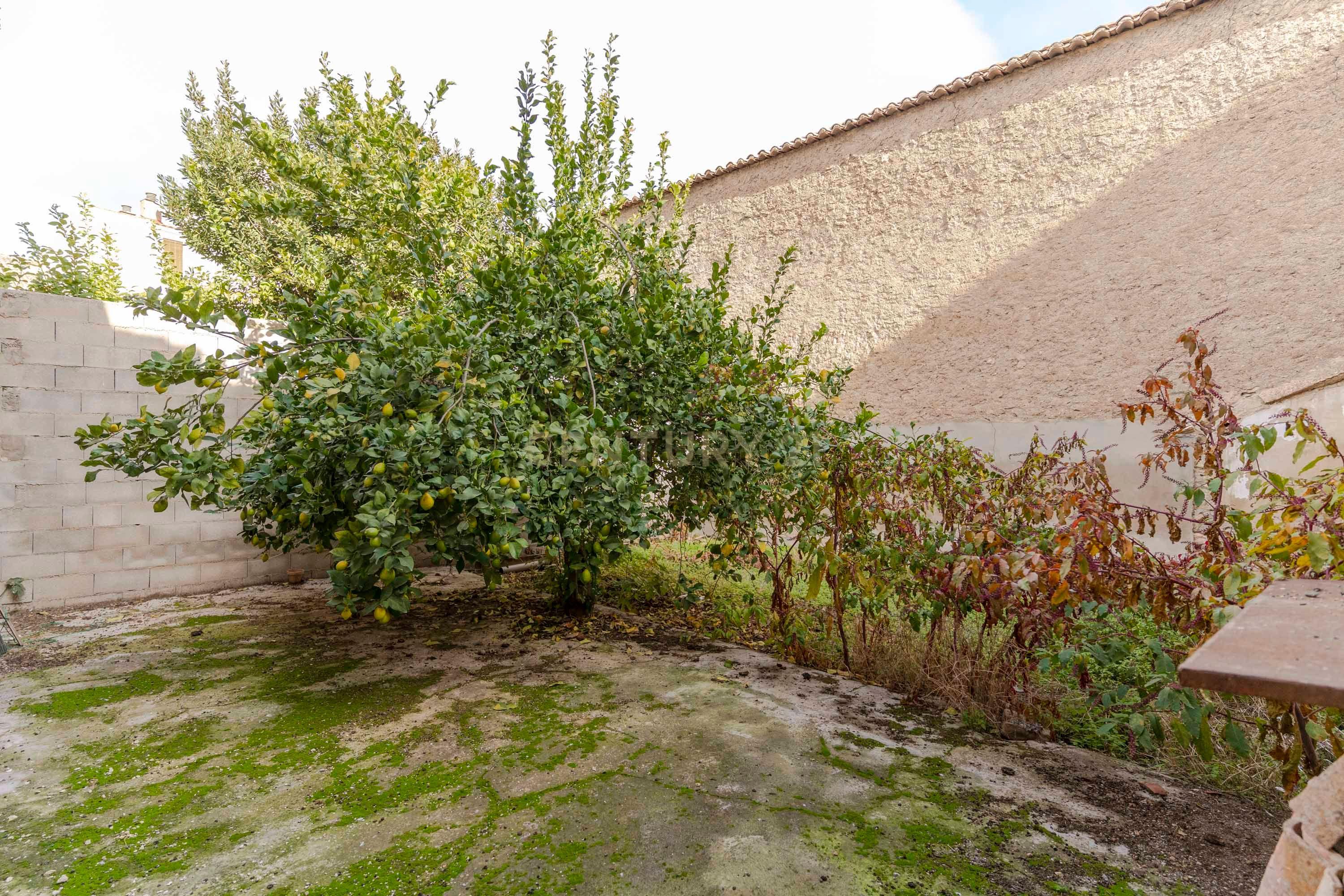 undefined - Image 3