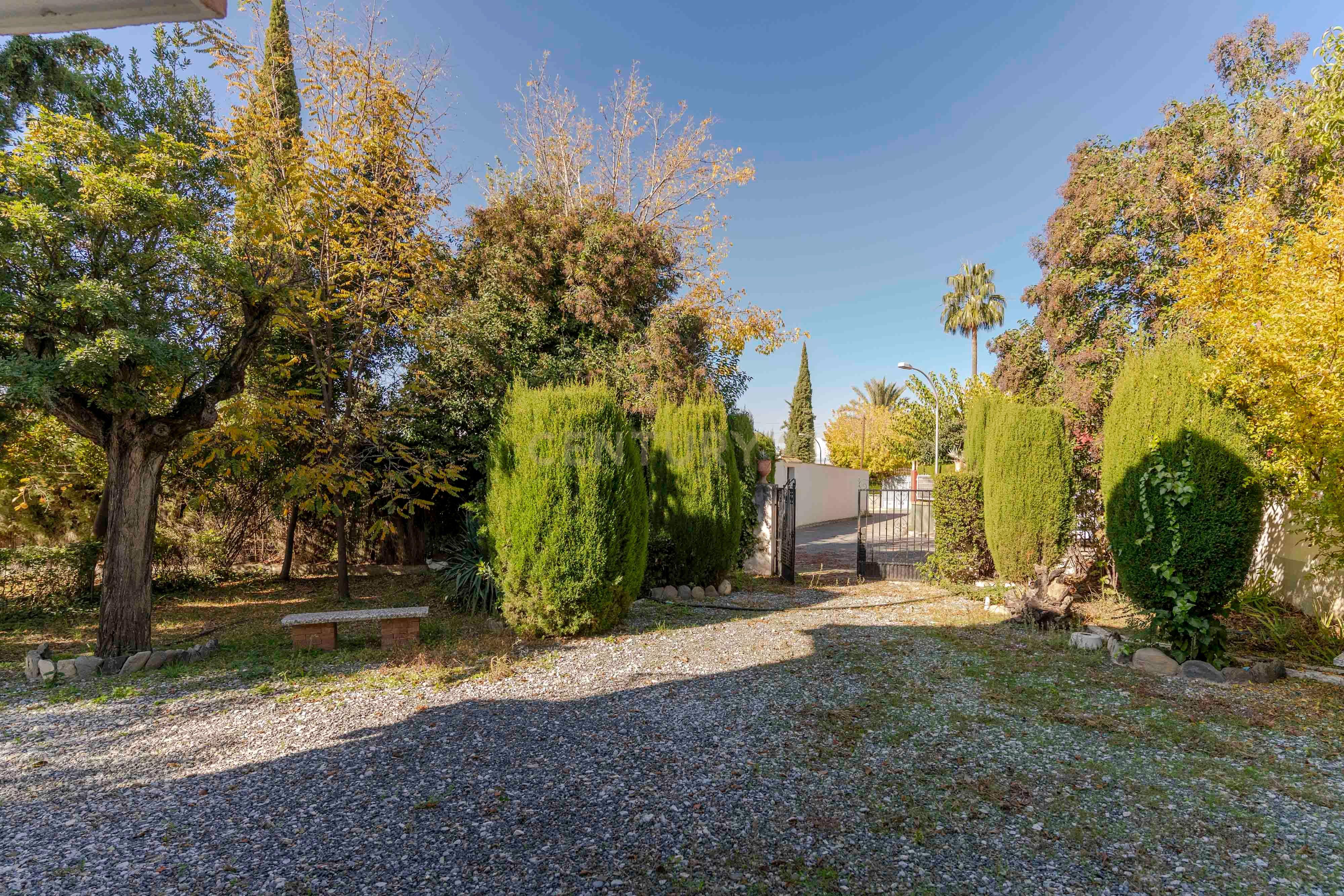 undefined - Image 67