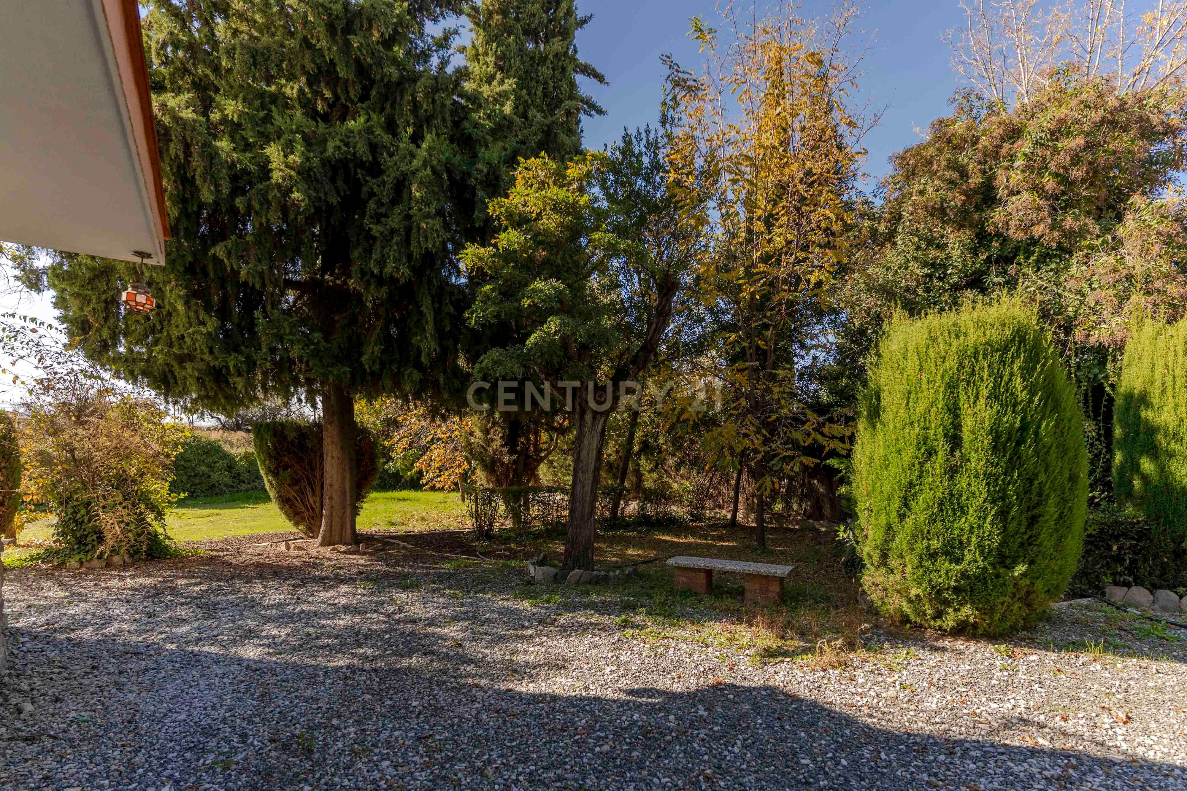 undefined - Image 47