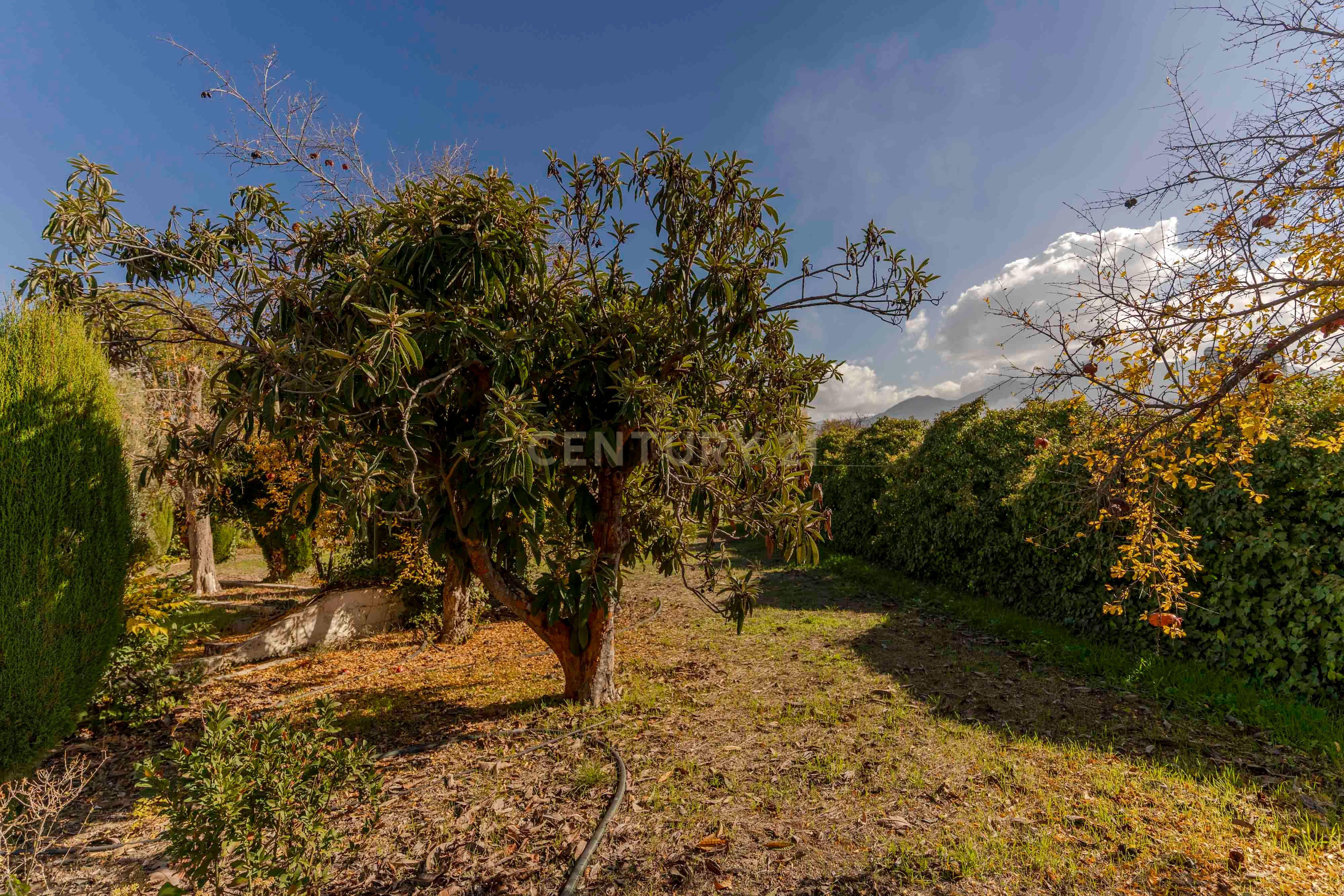 undefined - Image 50