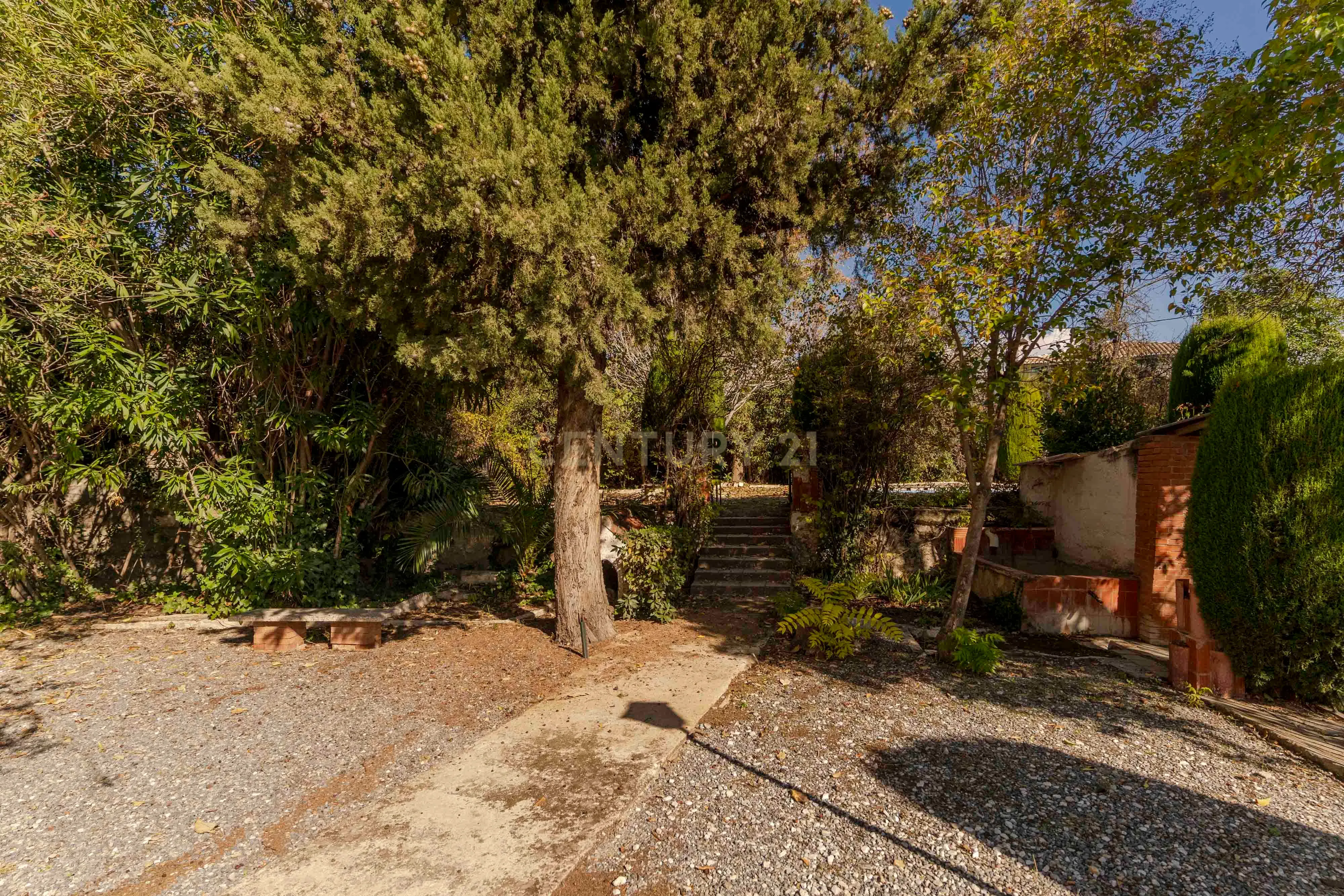 undefined - Image 64