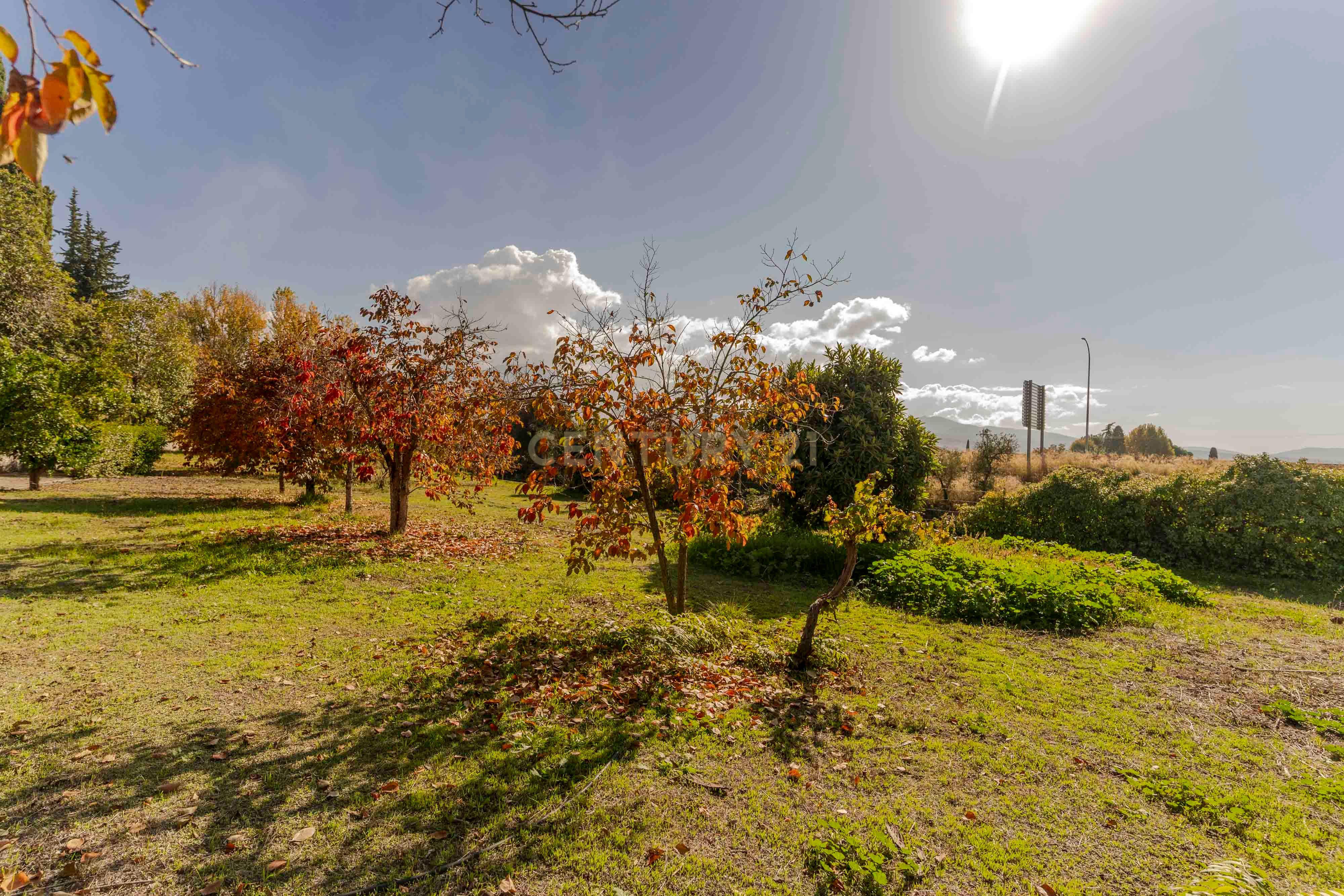 undefined - Image 60
