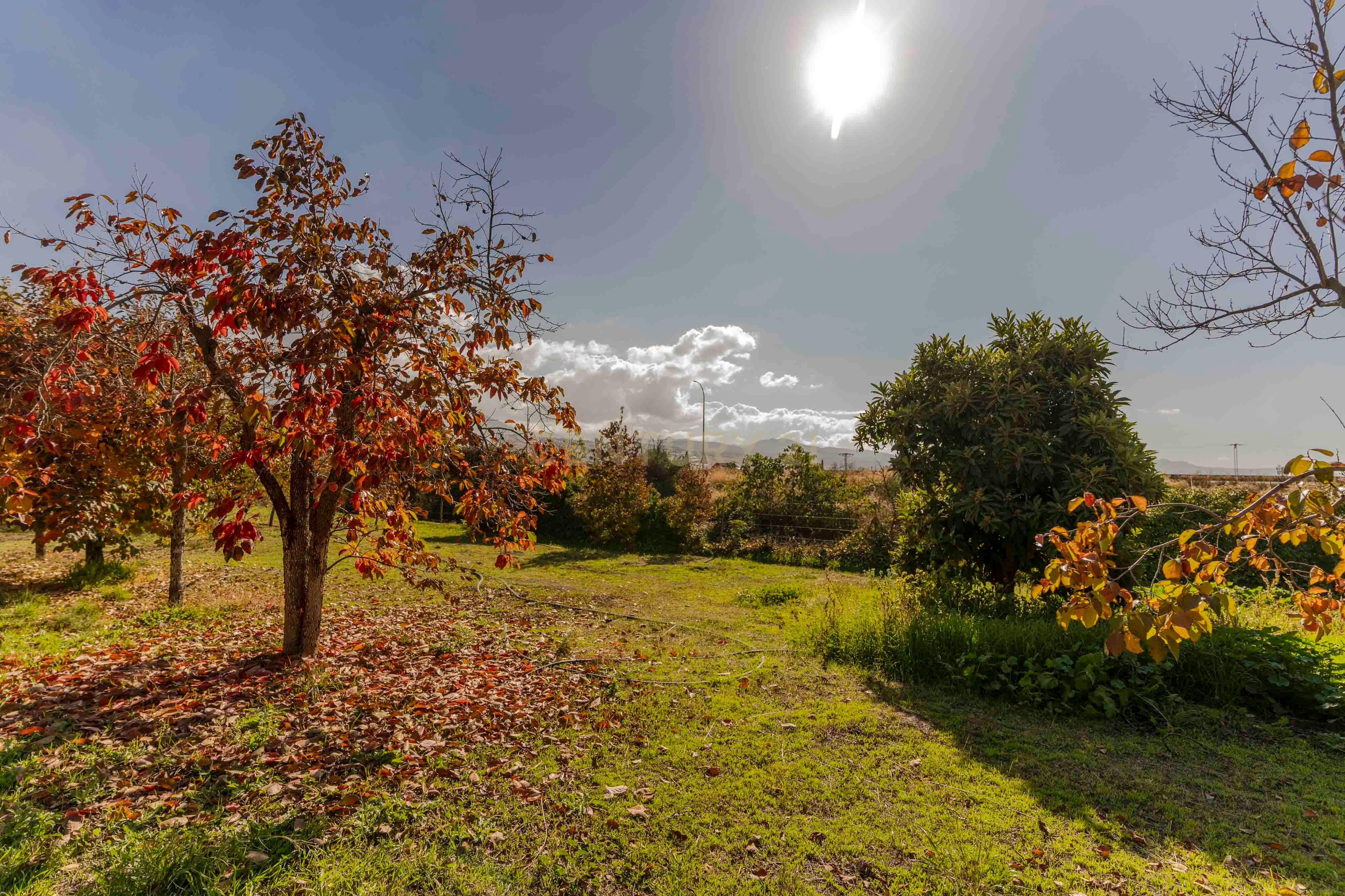 undefined - Image 63
