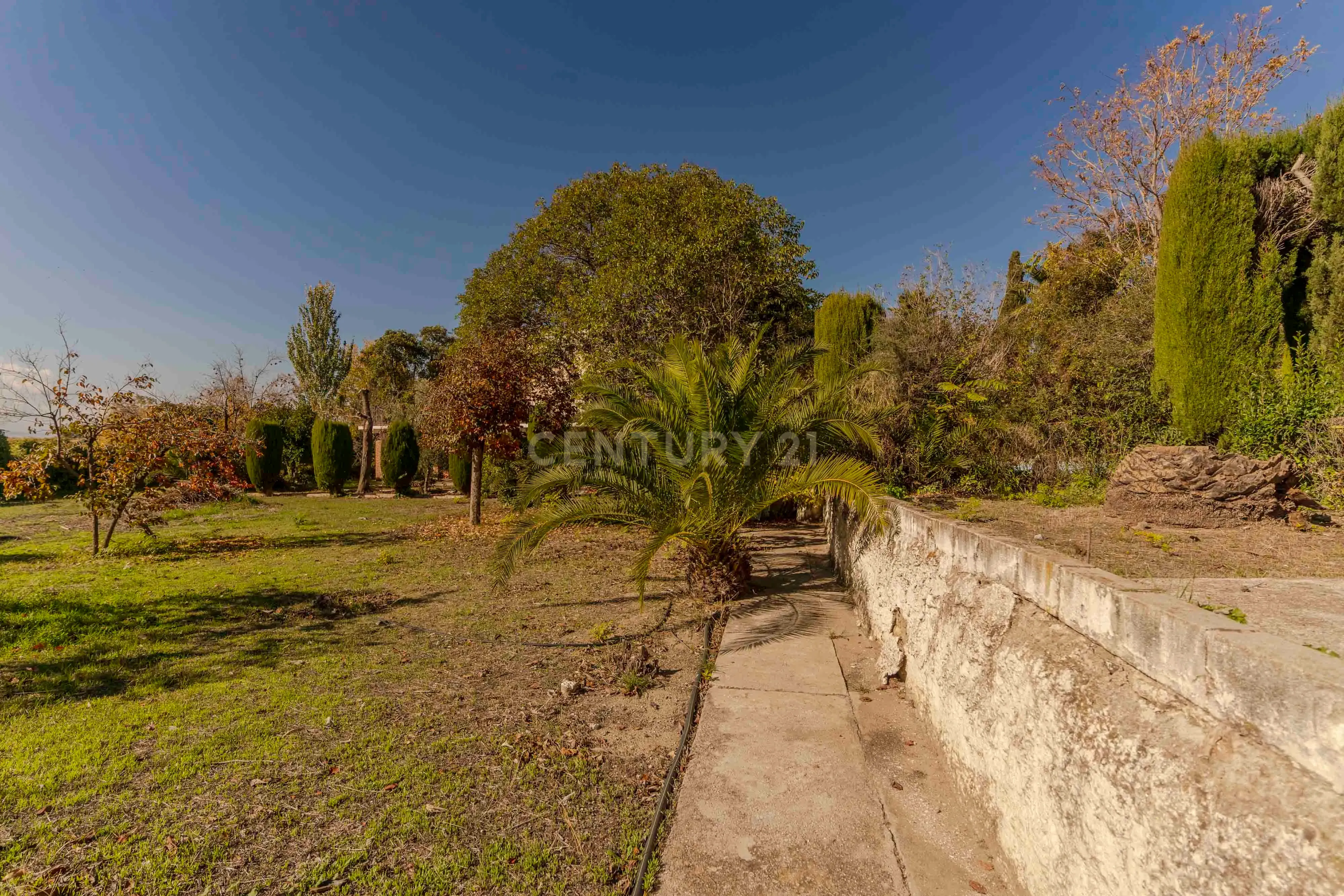 undefined - Image 99