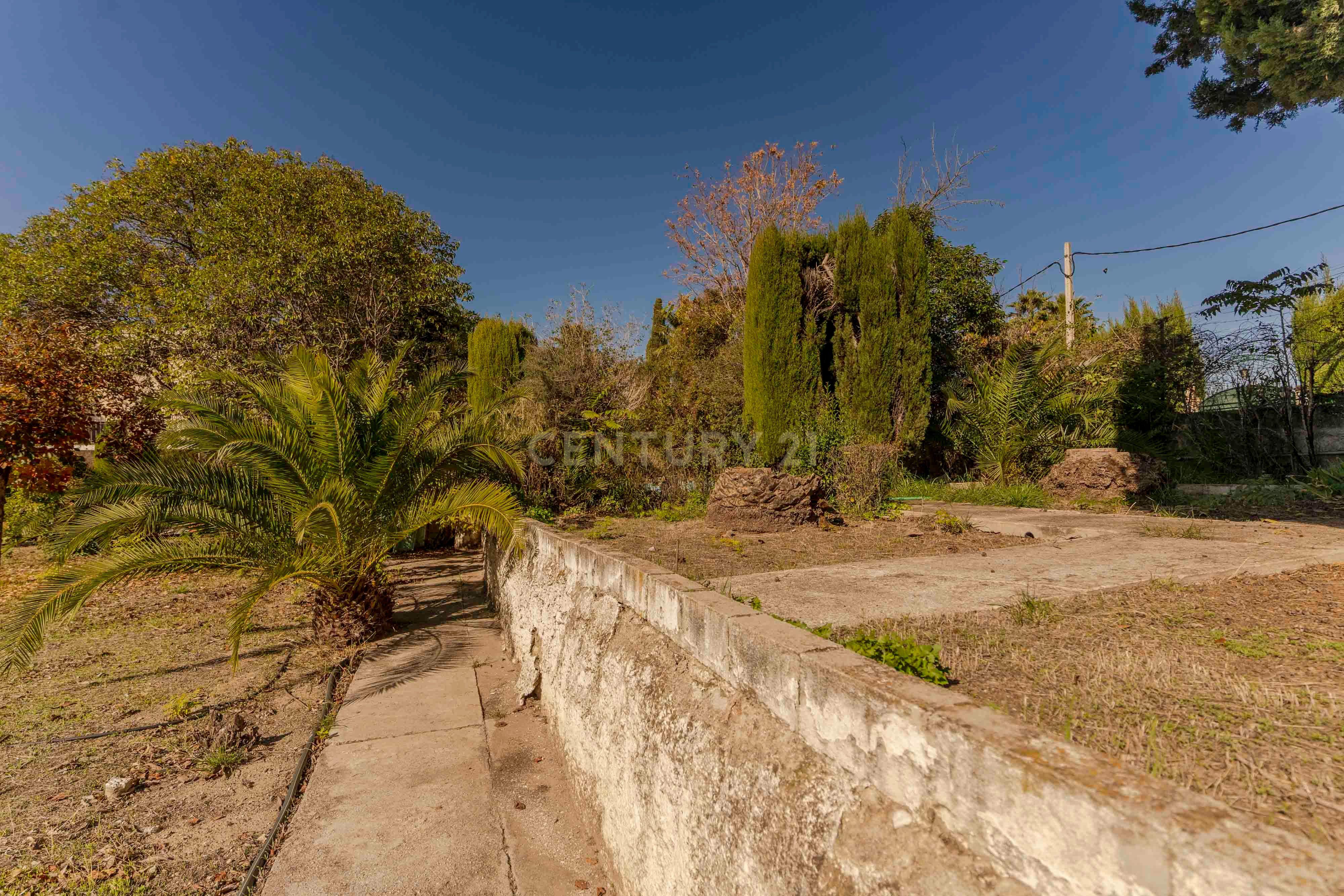 undefined - Image 77