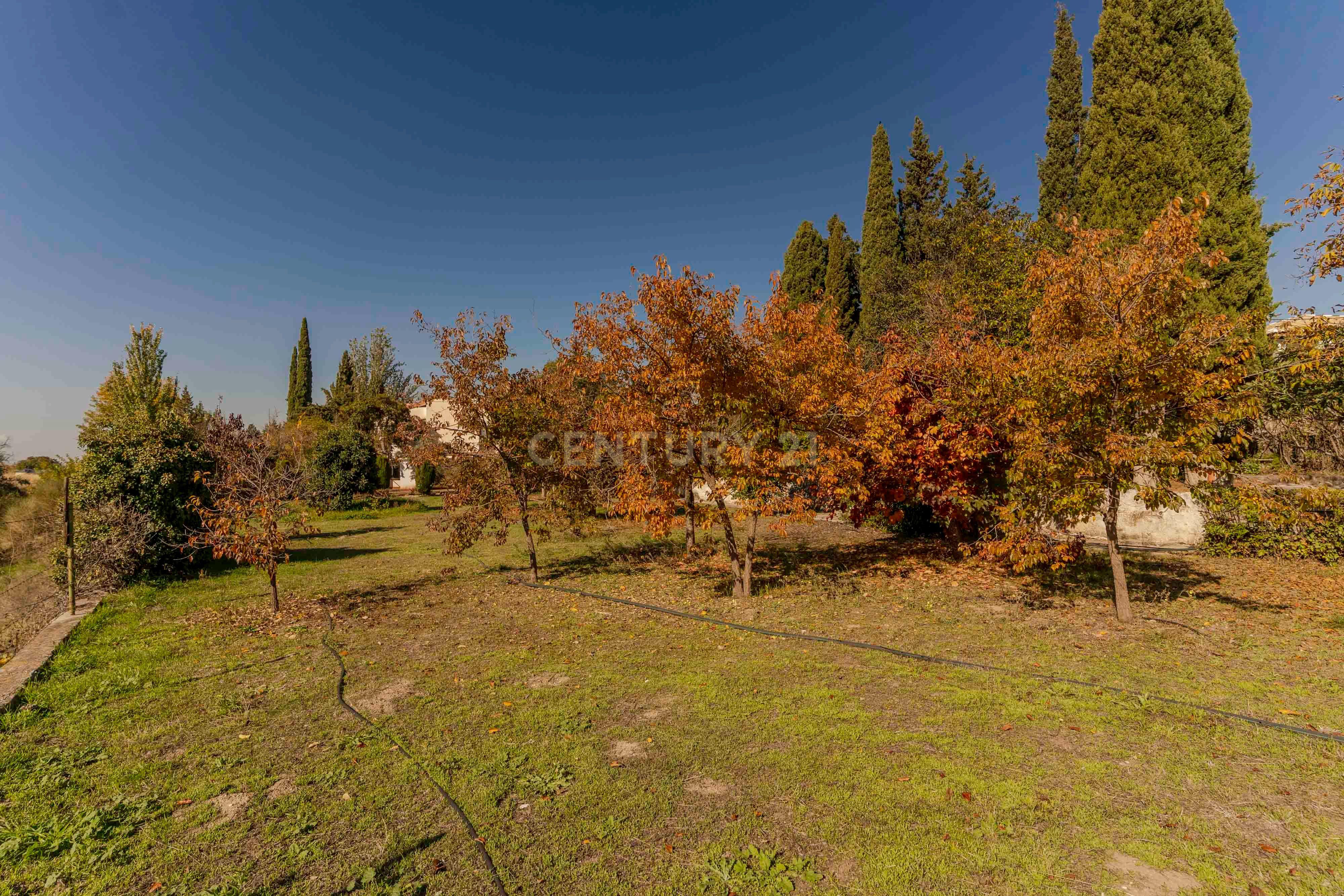 undefined - Image 69