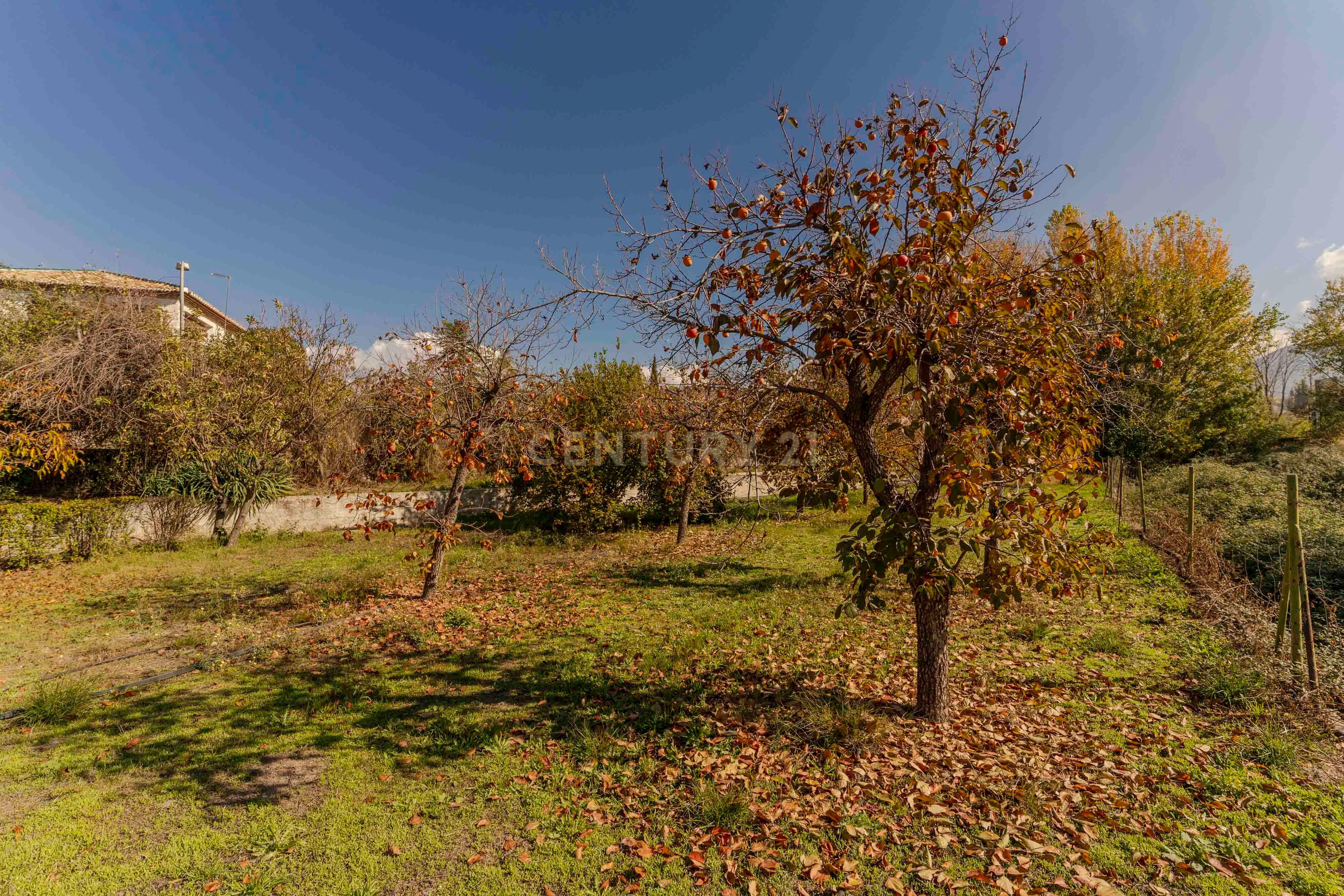 undefined - Image 70